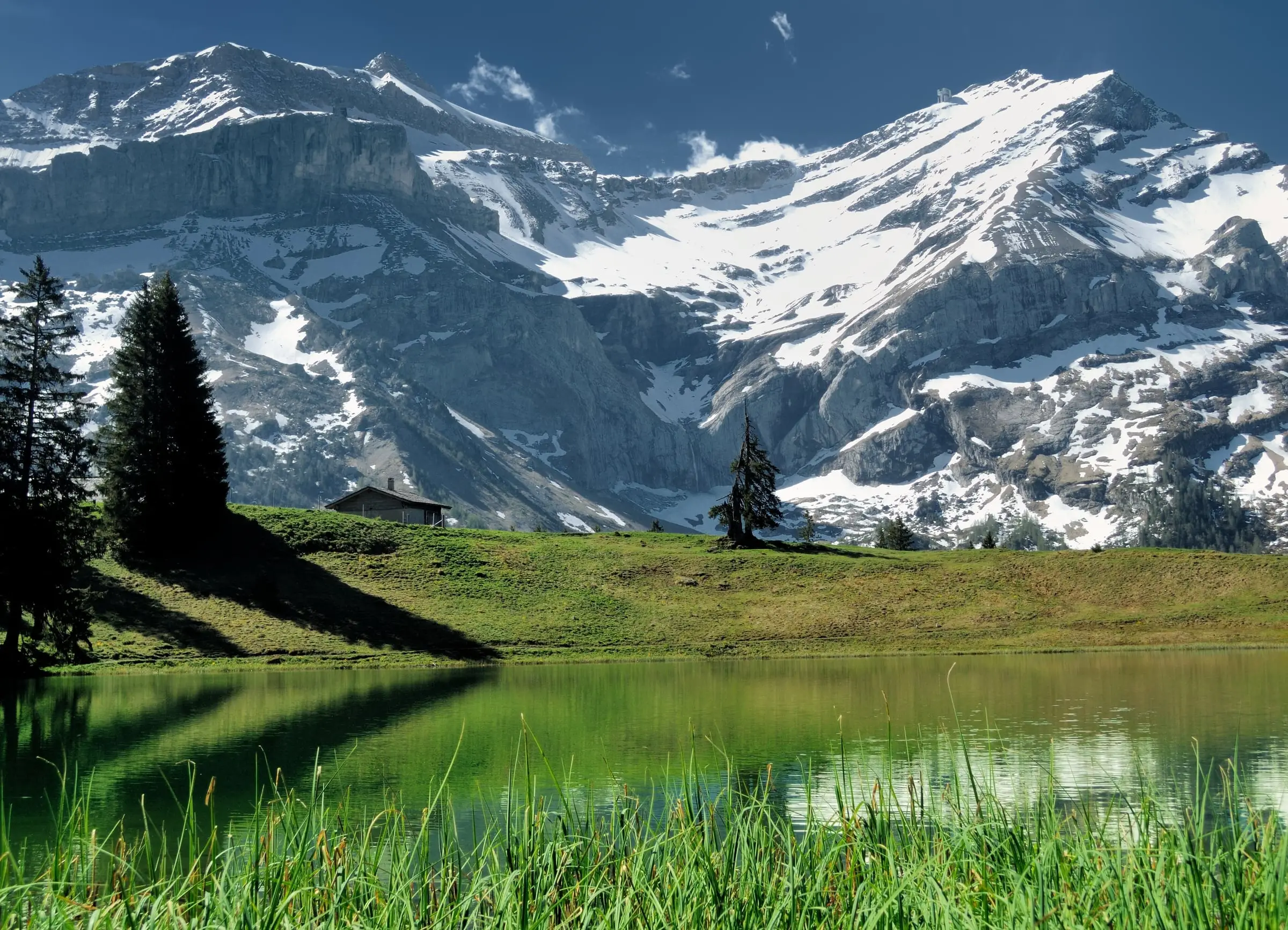 Oldenhorn and Scex Rouge above the green shore of Lac Retaud